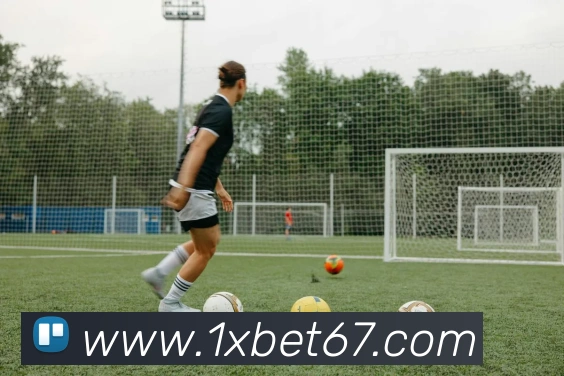 1xbet平台生态图